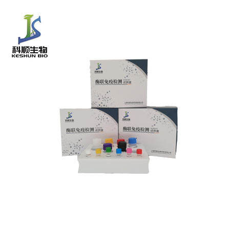 斑馬魚 PTPN5（PTPN5）酶聯(lián)免疫吸附測定試劑盒